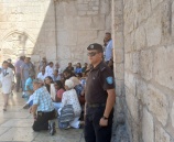 الشرطة تؤمن دخول 21809 سائح لمحافظة بيت لحم 