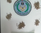 الشرطة تضبط 737 حبة من البذور المخدرة في اريحا 