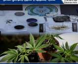 القبض على مطلوبين وضبط مواد يشتبه أنها مخدرة بقلقيلية والخليل وضواحي القدس