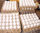 شرطة رام الله تضبط ٢٢ الف  بيضه فاسده في بلدة ابو فلاح