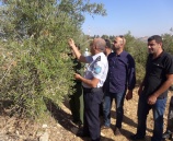 الشرطة تشارك المزارعين بقطف ثمار الزيتون في قرى شمال غرب القدس.