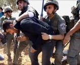 الاحتلال يعتقل ٨ مواطنين في الضفه الغربيه
