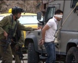 قوات الاحتلال تعتقل 12 مواطن في محافظات الضفة