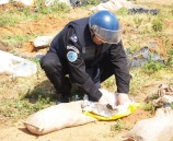 هندسة المتفجرات في الشرطة تتلف قنبلة من نوع ميلز قديمة في نابلس