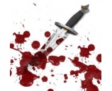 مقتل فتاه طعنا بالسكين في بلدة طلوزه شمال نابلس .