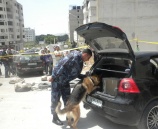 الشرطة تجري تدريبات لوحدة الكلاب البوليسية في نابلس