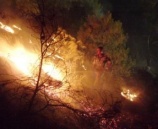 الشرطة تقبض على شخص متهم بحرق محمية طبيعية في طوباس