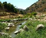 ارتفاع على درجات الحرارة