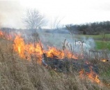 الشرطة تكشف ملابسات حرق أرض زراعية في طولكرم