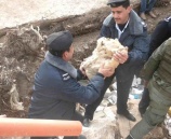 الشرطة تشارك في عمل تطوعي في رام الله