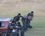 الشرطة تفض ٣ شجارات و تقبض على ٦٨ شخص في نابلس و الخليل .