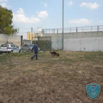 وحـدة تدريب “الكلاب البوليسية” في الشرطة تجري تدريبات في جنين