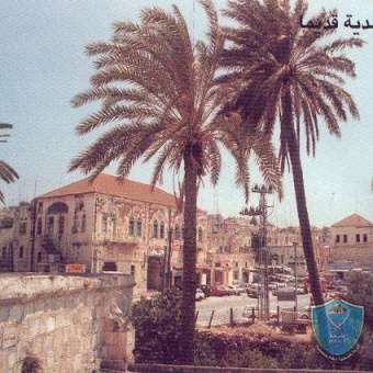 81 ألف سائح زاروا جنين في تموز الماضي