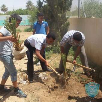 الشرطة وراديو النورس ينفذان حملة تشجير بزراعة 20 شجرة نخيل مجهول