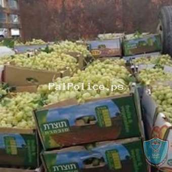 الشرطة تكشف ملابسات سرقة 2 طن ونصف من العنب في بيت لحم