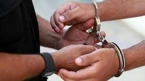 الشرطة تقبض على شخص مشتبه فيه بارتكاب عدة سرقات  في جنين