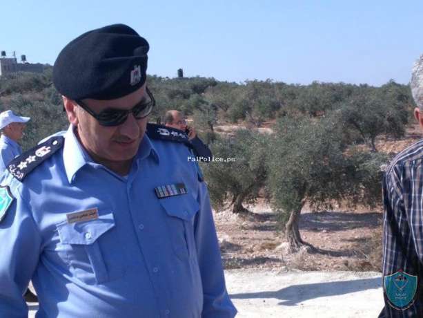 الشرطة تشارك المزارعين قطف ثمار الزيتون في عقابا