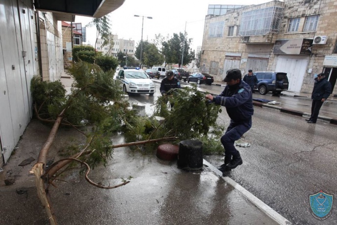 الشرطة تزيل عن الشوارع اشجار سقطت من الرياح العاتية في ظل الاجواء السائدة في رام الله