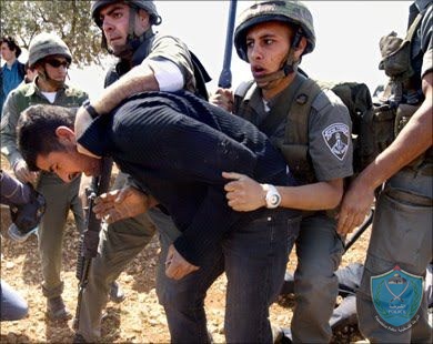 سلطات الاحتلال تعتقل ٣ مواطنين من قريه النصاريه