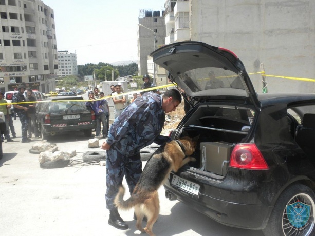 الشرطة تجري تدريبات لوحدة الكلاب البوليسية في نابلس