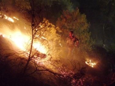 الشرطة تقبض على شخص متهم بحرق محمية طبيعية في طوباس