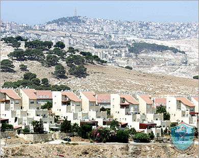 بعد جلسة نقاش طاحنة.. اعتماد قرار يدعم فلسطين ويطالب بوقف الاستيطان