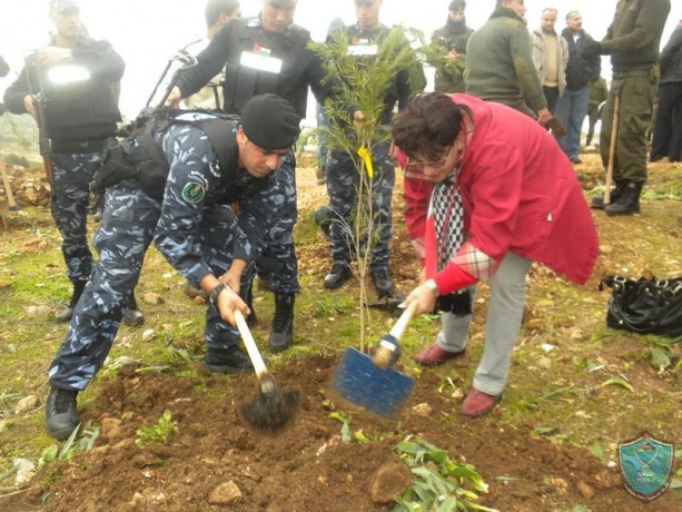 الشرطة تشارك في حملة زراعة شجرة لكل أسير في قلقيلية